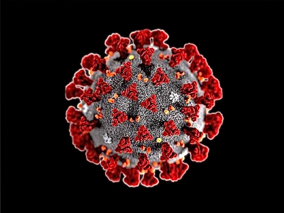 Conferência | Direito da Saúde e covid 19: desafios e reflexões